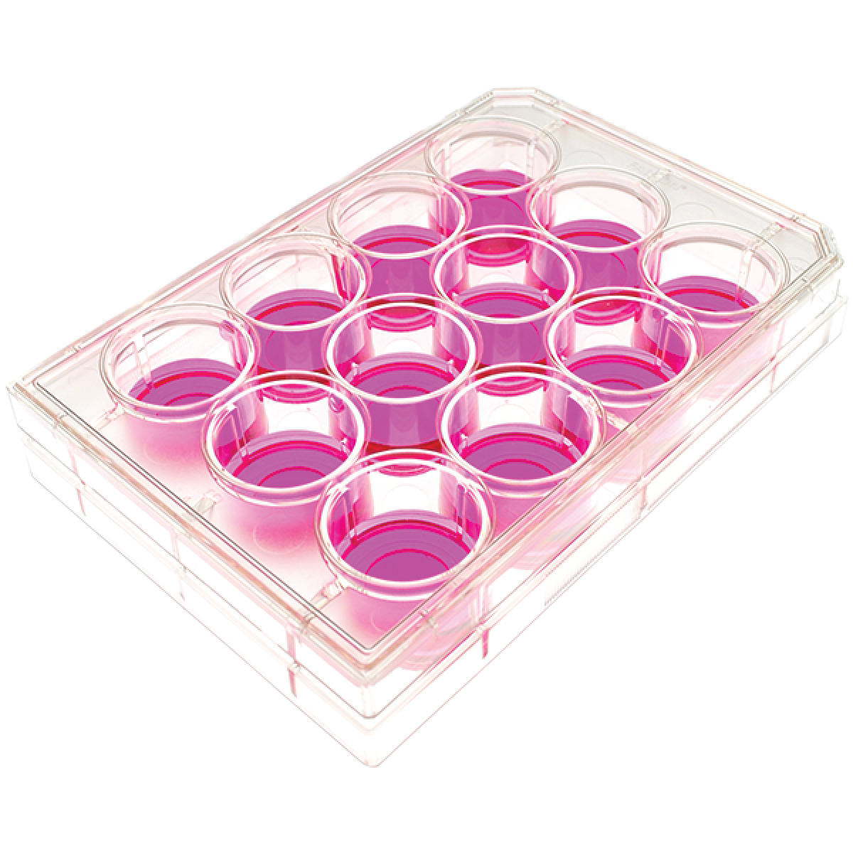 4E's USA 12 Well Cell Culture Plate 5 Pack - Sterilized Tissue Culture Treated Plates