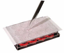 Microbiology Accessories - RPI